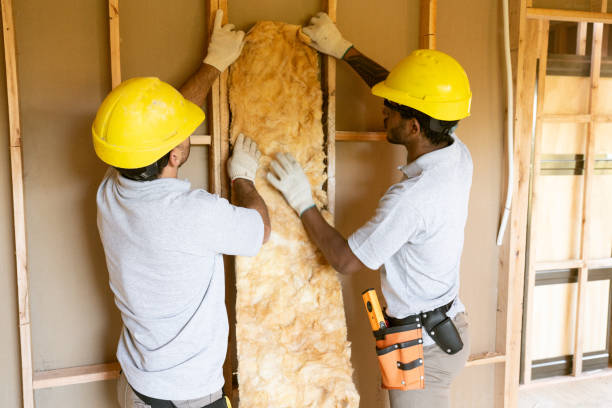 Best Insulation Air Sealing  in Sulphur Springs, AR